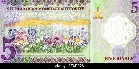 Großes Fragment der Rückseite mit Blumenfeld der Polymer 5 SAR Five Saudi Arabien Riyals Banknote Stockfoto