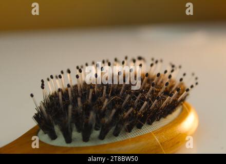 Ein Nahaufnahme der Borsten und Haarsträhnen auf einer Haarbürste auf einem Schreibtisch. Stockfoto