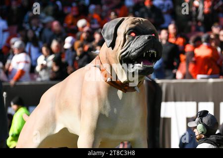 Cleveland, Ohio, USA. November 2023. 19. November 2023 Cleveland Browns Hundespiele während des Vorspiels bei Pittsburgh Steelers gegen Cleveland Browns in Cleveland, OH. Jake Mysliwczyk/AMG Media (Kreditbild: © Jake Mysliwczyk/BMR via ZUMA Press Wire) NUR ZUR REDAKTIONELLEN VERWENDUNG! Nicht für kommerzielle ZWECKE! Quelle: ZUMA Press, Inc./Alamy Live News Stockfoto