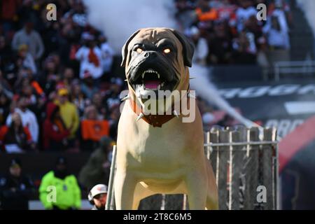 Cleveland, Ohio, USA. November 2023. 19. November 2023 Cleveland Browns Hundestatue während der Pittsburgh Steelers vs Cleveland Browns in Cleveland, OH. Jake Mysliwczyk/AMG Media (Kreditbild: © Jake Mysliwczyk/BMR via ZUMA Press Wire) NUR ZUR REDAKTIONELLEN VERWENDUNG! Nicht für kommerzielle ZWECKE! Quelle: ZUMA Press, Inc./Alamy Live News Stockfoto