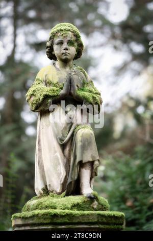 Kleiner moosbedeckter Cherub, der im Gebet auf der Basis eines Grabsteins kniet Stockfoto