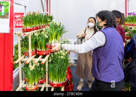 SHEN ZHEN, CHINA - 19. Januar 2023: Menschen kaufen Blumen für das chinesische Neujahrsfest in Shenzhen Spring Festival Flower Fair Stockfoto