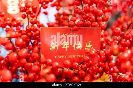 Chinesisches Neujahrsgrußkarte Flatlay mit traditioneller Festivaldekoration, 2023 ist das Jahr des Kaninchens, Kalligrafie Übersetzung: Happy New Year Stockfoto