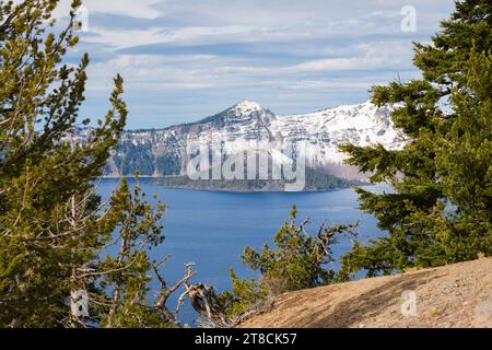 Blick auf Wizard Island und den blau gefärbten Crater Lake durch Bäume am Rand Stockfoto