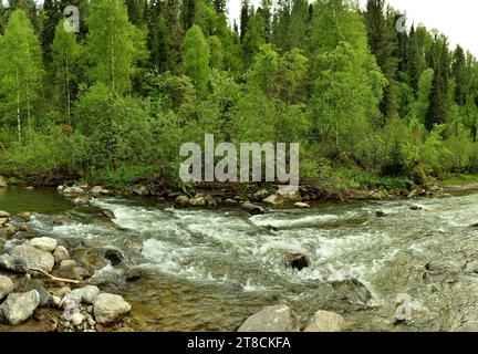 Ein Whirlpool im felsigen Bett eines kleinen Bergflusses, der an einem Sommertag durch einen dichten Wald fließt. Iogach, Altai, Sibirien, Russland. Stockfoto