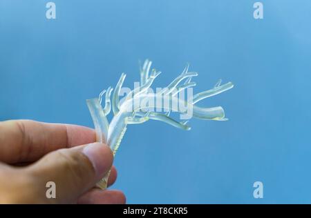 Hand mit Objekt in Form eines medizinisch genauen menschlichen Blutgefäßes gedruckt auf 3D-Drucker Stockfoto