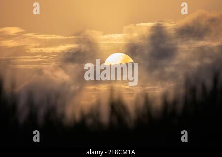 Sonnenuntergang über Küstenrasen, Galveston, Texas, USA Stockfoto