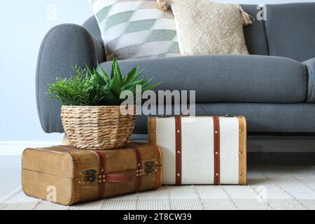 Graues Sofa mit Kissen, Koffern und Zimmerpflanzen im Wohnzimmer Stockfoto