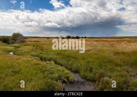 Little Sandy Crossing entlang des Oregon and Mormon Trails in Wyoming war ein beliebter Camping- und Ruheplatz für Reisende, die nach Westen nach Utah, Oregon, fuhren. Stockfoto