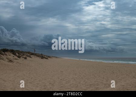 Blick auf Melides Beach, Alentejo, Portugal Stockfoto