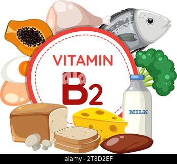 Bunte Vektor-Illustration, die Vitamin B2-reiche Früchte und Gemüse zeigt Stock Vektor