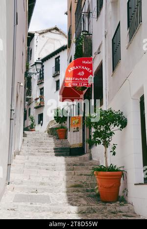 Restaurante Arrayanes, lokale Küche, afrikanische, marokkanische, mediterrane, gesund, Naher Osten in Albaicin, Granada, Spanien Stockfoto