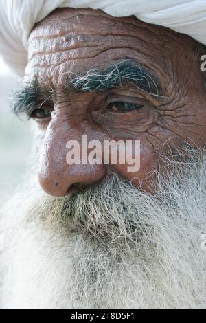 Traditioneller älterer Rajasthani-Mann in Indien, der einen weißen Turban trägt Stockfoto