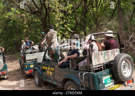 Indische Touristen auf einer Dschungelsafari Stockfoto