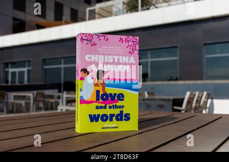 Nahaufnahme von Christina Laurens Buch über Liebe und andere Worte auf einem Holztisch. Stockfoto