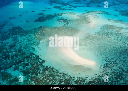 Ein Blick aus der Vogelperspektive auf Michaelmas Cay im Great Barrier Reef: Tropische weiße Sandbar, Korallenriffe, klares türkisfarbenes Wasser – Korallenmeer, Cairns Stockfoto