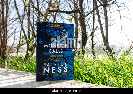 Close Up Patrick Ness's Ein Monster nennt Roman im Garten. Stockfoto