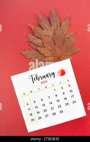 Kalenderseite Februar 2024 und herbstliches Ahornblatt mit Daumennadel auf rotem Hintergrund. Stockfoto