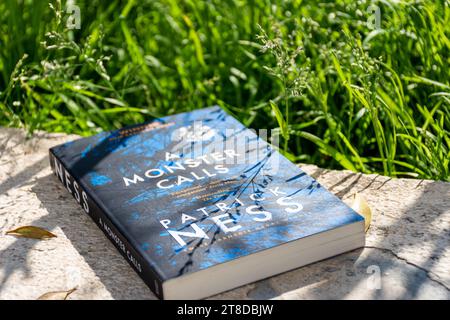 Close Up Patrick Ness's Ein Monster nennt Roman im Garten. Stockfoto