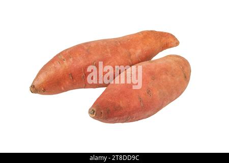 Süßkartoffel oder Süßkartoffel zwei ganze Röhrchen mit roter Haut, isoliert auf weiß. Grundnahrungsmittel für Gemüse. Stockfoto