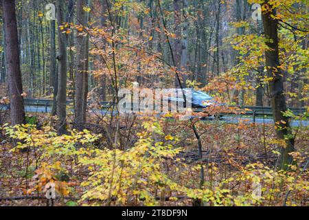 Uckermark GER, Deutschland, 20231119, Herbst in der Uckermark, *** Uckermark GER, Deutschland. , . Herbst in der Uckermark, Quelle: Imago/Alamy Live News Stockfoto