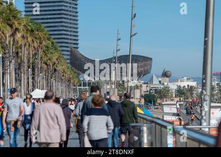 Barcelona, Spanien: 19. November 2023: People Wal k Barceloneta Beach mit Frank Gehrys Peix d'Or (Walskulptur) im Winter 2023. Stockfoto