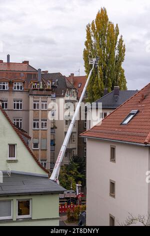 Baumpflegearbeiten in Stuttgart-West. Mit einer Hubarbeitsbühne werden Äste einer Pappel entfernt. // 15.11.2023: Stuttgart, Baden-Württemberg, Deutschland, Europa *** Baumpflegearbeiten in Stuttgart West Äste werden mit Hilfe einer Hubarbeitsbühne von einem Pappelbaum entfernt 15 11 2023 Stuttgart, Baden Württemberg, Deutschland, Europa Credit: Imago/Alamy Live News Stockfoto