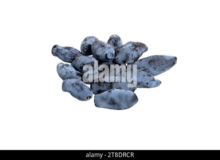 Blaue Geißblatt-Beeren auf weißem Hintergrund. Stockfoto