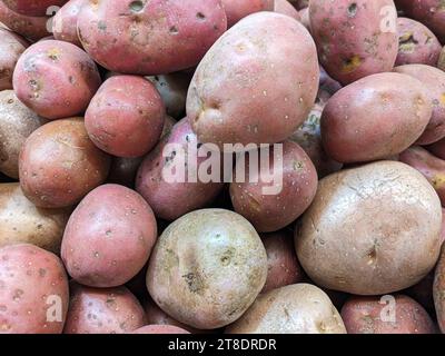 Hintergrund der roten oder rosafarbenen Kartoffeln von oben. Stockfoto
