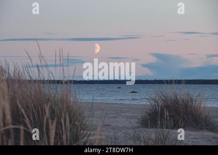 Sandstrand mit Dünen und Mond am Himmel Stockfoto