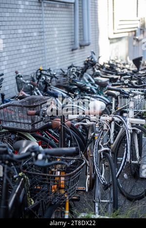 Fahrradparkplätze in der Nähe der Gebäudemauer in Tokio Stockfoto