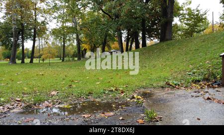 Eine ländliche Wiese im Regen, umgeben von üppigen Bäumen bei Tageslicht Stockfoto