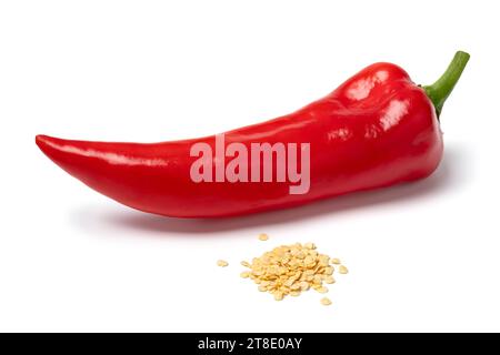 Frischer, spitzer Paprika und ein Haufen Samen vorne isoliert auf weißem Hintergrund Stockfoto
