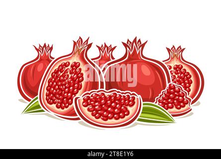 Vektor-Logo für Granatapfel, dekoratives horizontales Poster mit Umrissillustration der saftigen Granatapfelkomposition, Zeichentrickdesign fruchtiger Druck mit Stock Vektor