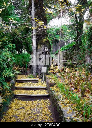 Palacio de Monserrate Palast in Sintra, Portugal bei Lissabon. Detail des romantischen Botanischen Gartens, der den Palast umgibt, einschließlich e Stockfoto