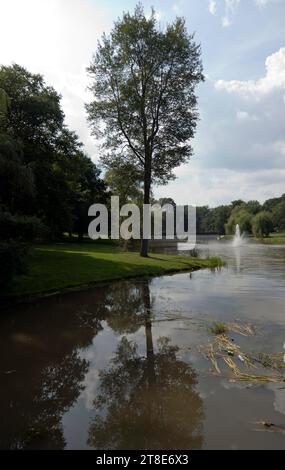 Der Larz Anderson Park ist ein 64 Hektar großer, bewaldeter, landschaftlich angelegter und mit Wasser bewachsener Park in Brookline, Massachusetts. Stockfoto