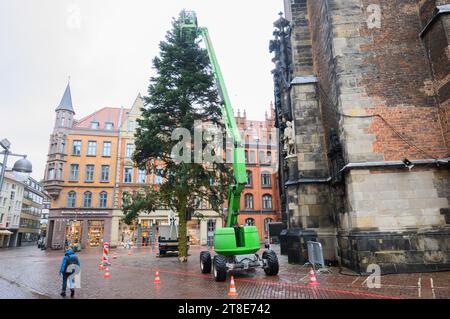 Hannover, Deutschland. November 2023. Arbeiter verwenden Kirschpflücker, um den Weihnachtsbaum vor der Marktkirche zu schmücken. Einer der zentralen Weihnachtsbäume für den Weihnachtsmarkt in Hannover ist Gegenstand von Lächerlichkeit und Bosheit. In sozialen Netzwerken und in lokalen Zeitungen beschreiben viele Menschen den Baum wegen seiner wenigen und manchmal gebrochenen Äste als "hässlich", "verärgert" oder "peinlich". Quelle: Julian Stratenschulte/dpa/Alamy Live News Stockfoto
