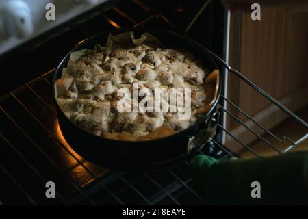 Weibliche Hände überprüfen die Bereitschaft von Charlottes Apfelkuchen und öffnen den Ofen Stockfoto