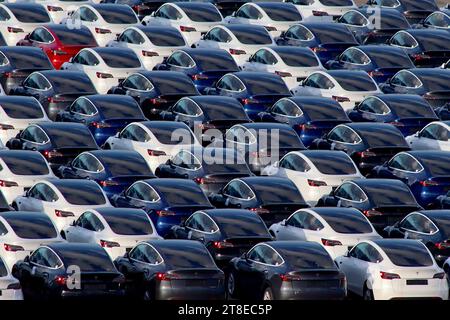 Riesige Bestände an importierten Tesla-Elektroautos, die auf einer Anlegestelle am Hafen gelagert werden und für die fortlaufende Lieferung an britische Händler mit Autotransportern vorbereitet werden. Stockfoto