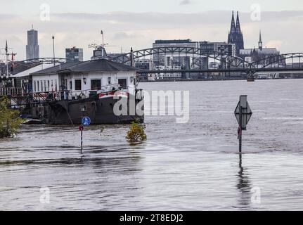 Köln, Deutschland. November 2023. Teile des Flusses sind überflutet. Die Welle werde gegen Ende der Woche nachlassen, sagte ein Sprecher des Rheinwasserstraßen- und Schifffahrtsamtes in Duisburg am Montag. Seit Samstag ist in Köln die Hochwassermarke 1 in Kraft, die auf einer Höhe von 6,20 Metern in Kraft tritt. Schiffe müssen den Rhein in der Flussmitte und mit reduzierter Geschwindigkeit befahren. (Zu dpa/lnw: 'Bänke im Wasser und langsame Schiffe: Hochwasser bei Köln') Credit: Oliver Berg/dpa/Alamy Live News Stockfoto