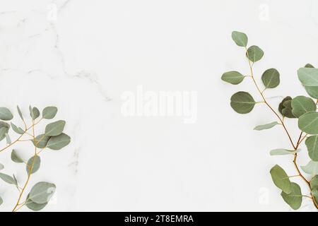 Leerer weißer Kopierraum und grüne Eukalyptuszweige auf weißem Marmortischhintergrund. Flache Lage, Draufsicht, Stockfoto