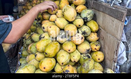 Blick auf eine Person, die Mangobrüchte auf dem weltweit größten Markt in Indonesien verkauft Stockfoto