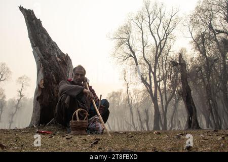 Ganderbal, Jammu und Kaschmir, Indien. 20. November 2023, Ganderbal, Jammu und Kashmir, Indien: Ein Hirte rastet während er seine Schafe an einem nebeligen Herbsttag in Ganderbal weidet. Quer durch das Kaschmir-Tal sind die Wintervorbereitungen in den lebhaften Herbsttönen lebhaft und signalisieren die nahende Kälte, wenn die Tage kürzer werden. (Kreditbild: © Adil Abbas/ZUMA Press Wire) NUR REDAKTIONELLE VERWENDUNG! Nicht für kommerzielle ZWECKE! Quelle: ZUMA Press, Inc./Alamy Live News Stockfoto