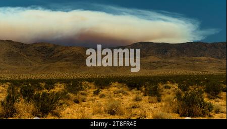 Rauch weht aus einem fernen und gefährlichen Waldbrand, das über einen nahen Gebirgszug in der kalifornischen Mojave-Wüste wütet. Stockfoto