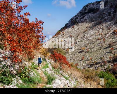 Spaziergang zwischen Feuer beschädigten Bäumen in einem abgelegenen Tal auf dem Berg Pantokrator Oros Pandokratoras auf der Insel Korfu Ionische Inseln Griechenland Stockfoto