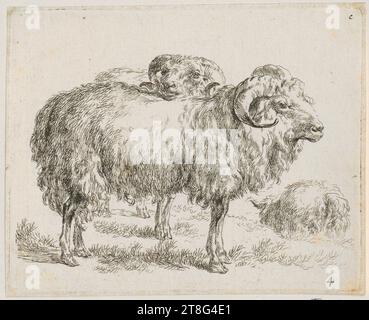 Nicolaes Berchem (1620 um - 1683), zwei Widder und ein Schaf, Blatt 4 der Serie „verschiedene Abbildungen von Schafen“, Herkunft des Drucks: 1648 - 1652, Ätzung, Bogengröße: 10,6 x 13,2 cm, oben rechts mit der Aufschrift „c“ und unten rechts mit „4“ nummeriert Stockfoto