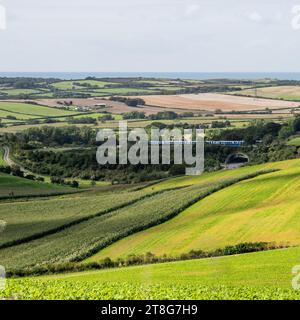 Ein Zug der South Western Railway fährt durch Farmland in der Nähe von Upwey in South Dorset. Stockfoto