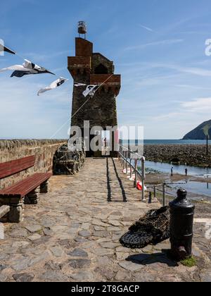 Der Rheinische Turm steht über der Hafenmauer bei Lynmouth in North Devon. Stockfoto