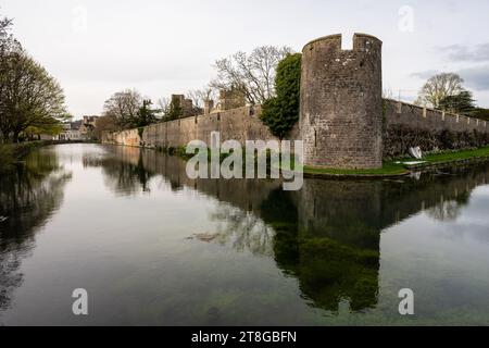 Der Burggraben und die Mauern des Bischofspalastes in Wells, Somerset. Stockfoto