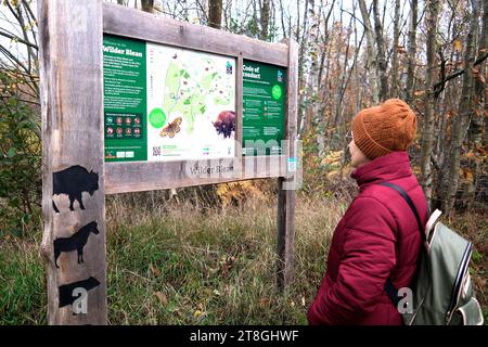 Frau, die Winterkleidung in West Blean und Dornden Wäldern trägt, kent, großbritannien Stockfoto